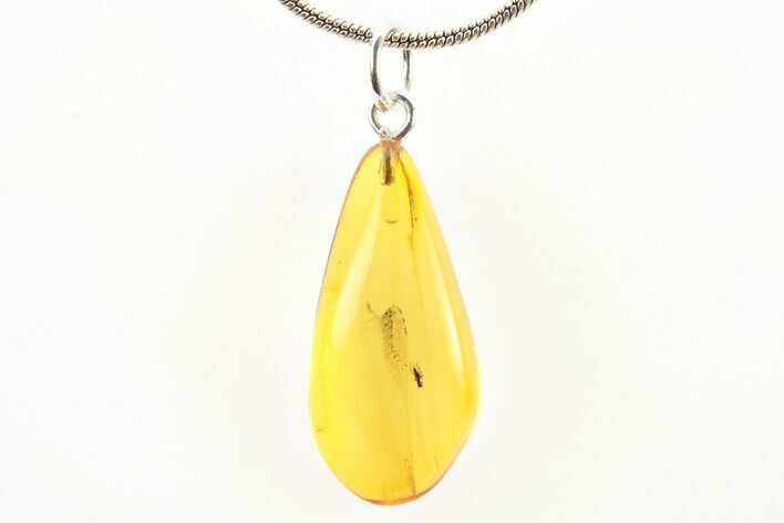 Polished Baltic Amber Pendant (Necklace) - Contains Fly! #273507